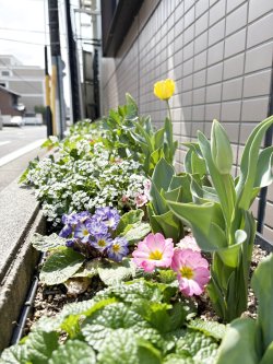 ♬は〜るが来た〜　は〜るが来た〜♪